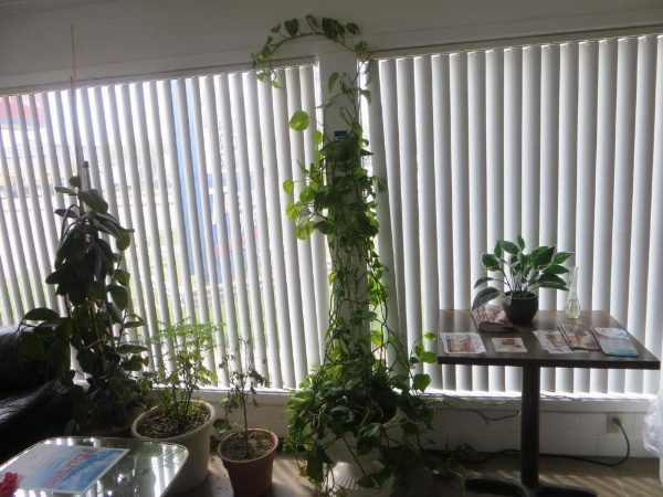 Traveler's Lodge image 16